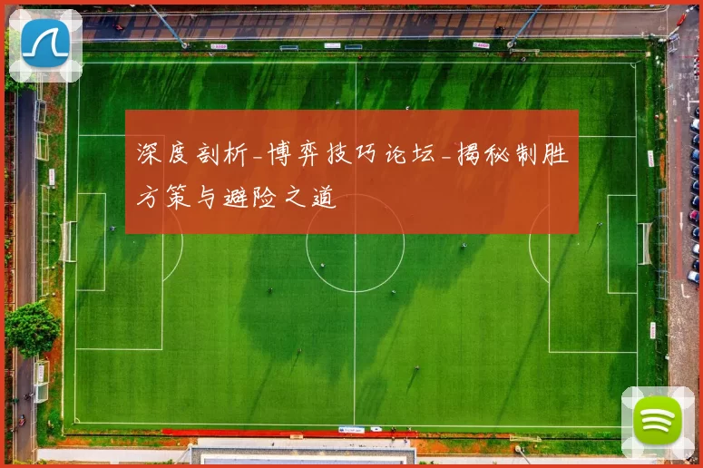 深度剖析_博弈技巧论坛_揭秘制胜方策与避险之道