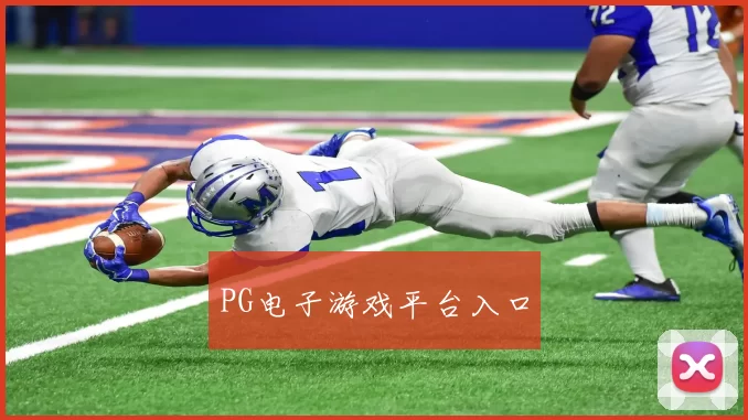 PG电子游戏平台入口