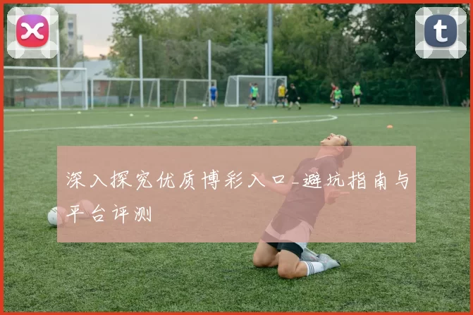 深入探究优质博彩入口_避坑指南与平台评测