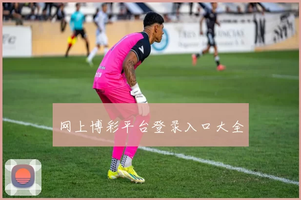 网上博彩平台登录入口大全