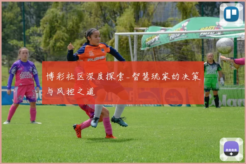 博彩社区深度探索_智慧玩家的决策与风控之道