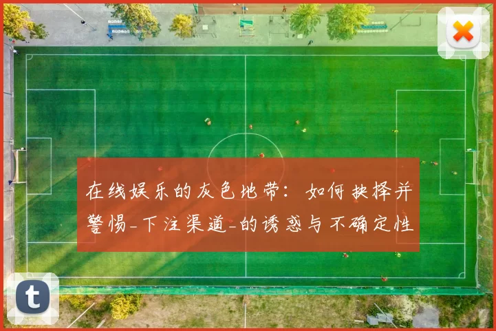 在线娱乐的灰色地带：如何抉择并警惕_下注渠道_的诱惑与不确定性