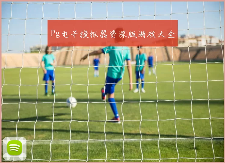 Pg电子模拟器资深版游戏大全