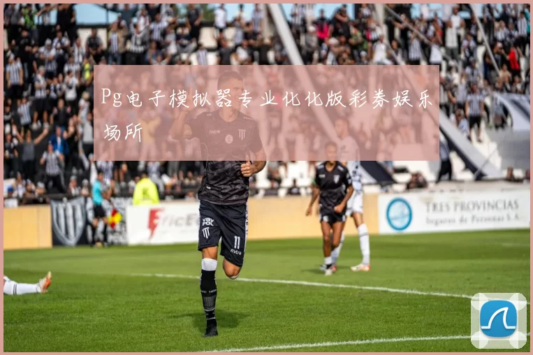 Pg电子模拟器专业化化版彩券娱乐场所