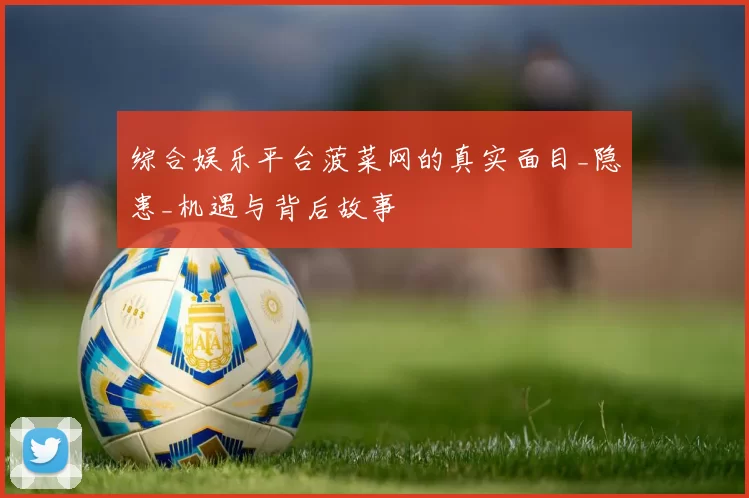 综合娱乐平台菠菜网的真实面目_隐患_机遇与背后故事