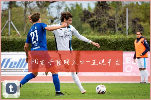 PG电子官网入口-正规平台