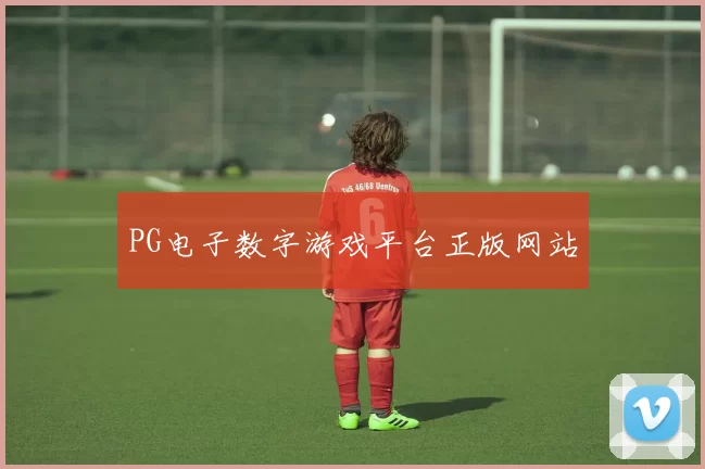 PG电子数字游戏平台正版网站