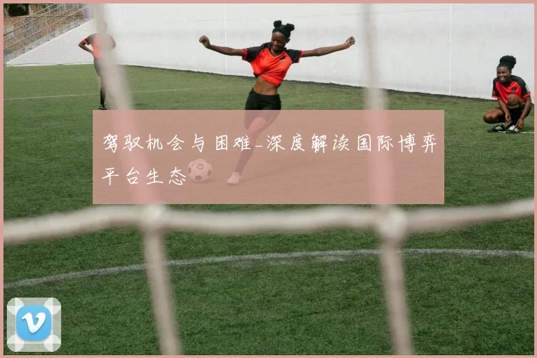 驾驭机会与困难_深度解读国际博弈平台生态