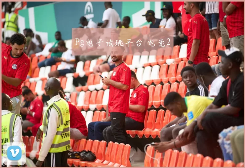 Pg电子试玩平台 电竞2