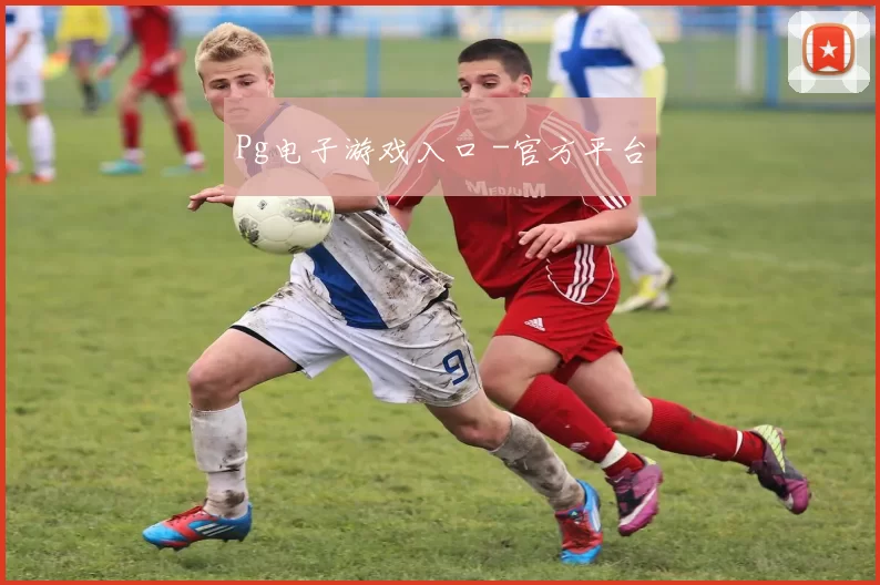 Pg电子游戏入口 -官方平台