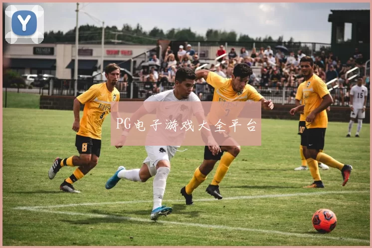 PG电子游戏大全平台