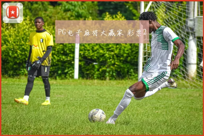 PG电子麻将大赢家 彩票2