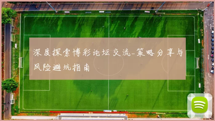 深度探索博彩论坛交流_策略分享与风险避坑指南