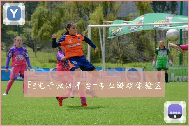 Pg电子试玩平台-专业游戏体验区