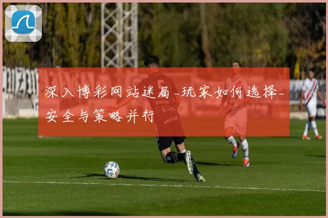 深入博彩网站迷局_玩家如何选择_安全与策略并行