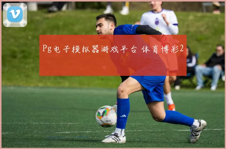 Pg电子模拟器游戏平台 体育博彩2