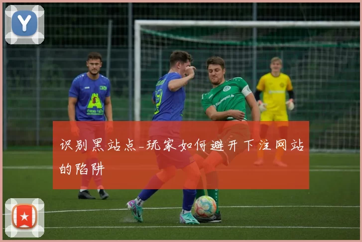 识别黑站点_玩家如何避开下注网站的陷阱