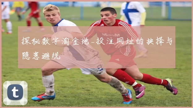 探秘数字淘金地_投注网址的抉择与隐患避规