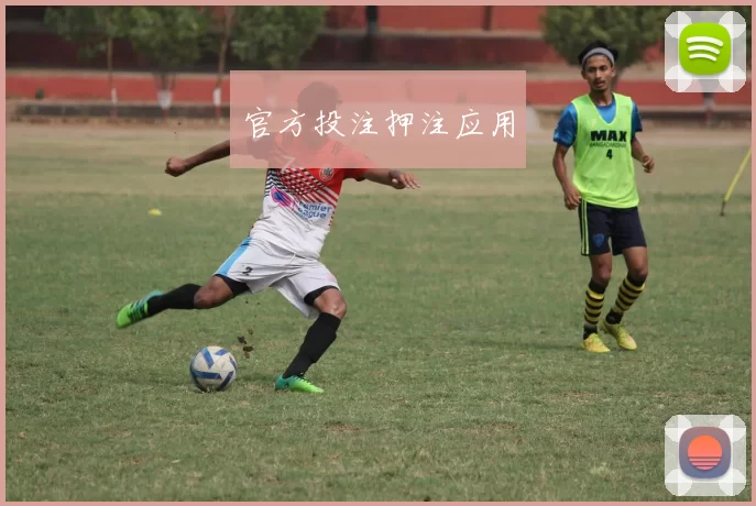 官方投注押注应用