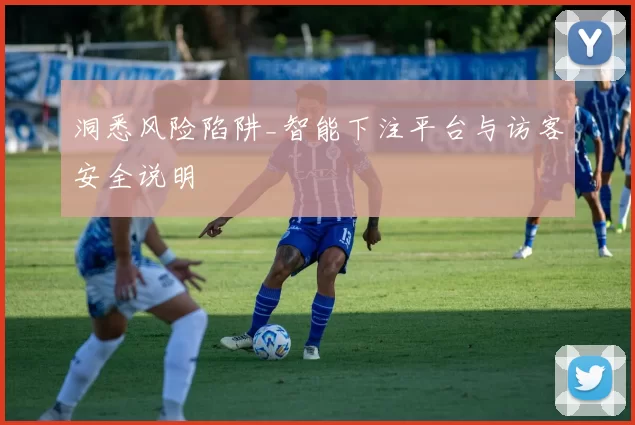 洞悉风险陷阱_智能下注平台与访客安全说明