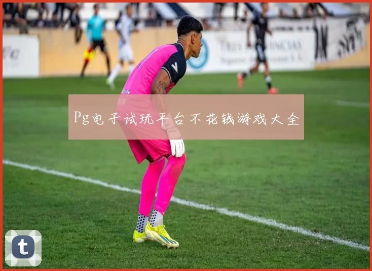 Pg电子试玩平台不花钱游戏大全